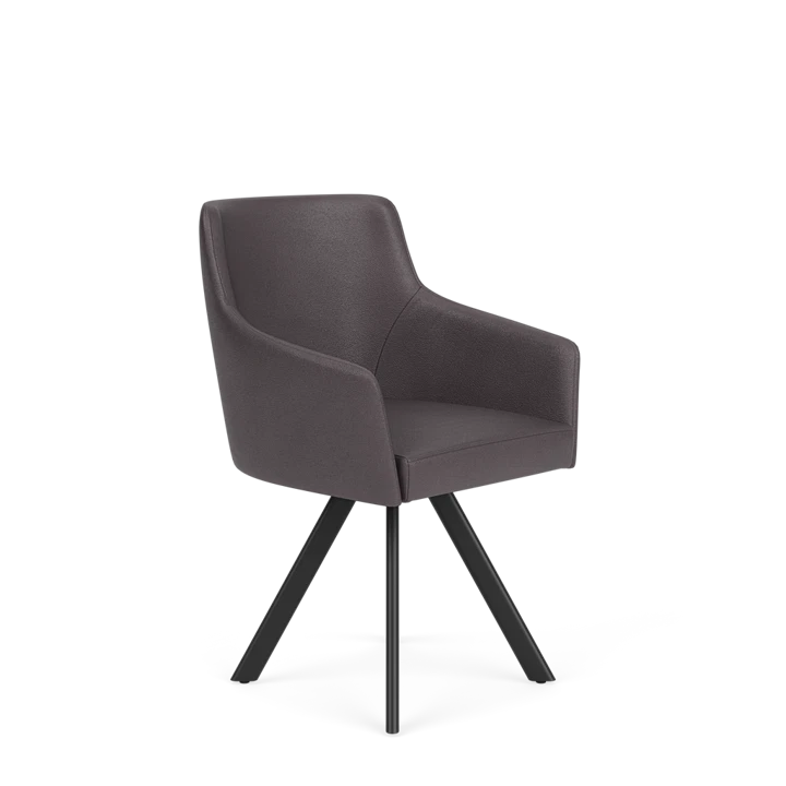 Product afbeelding voor Eetkamerstoel D-102