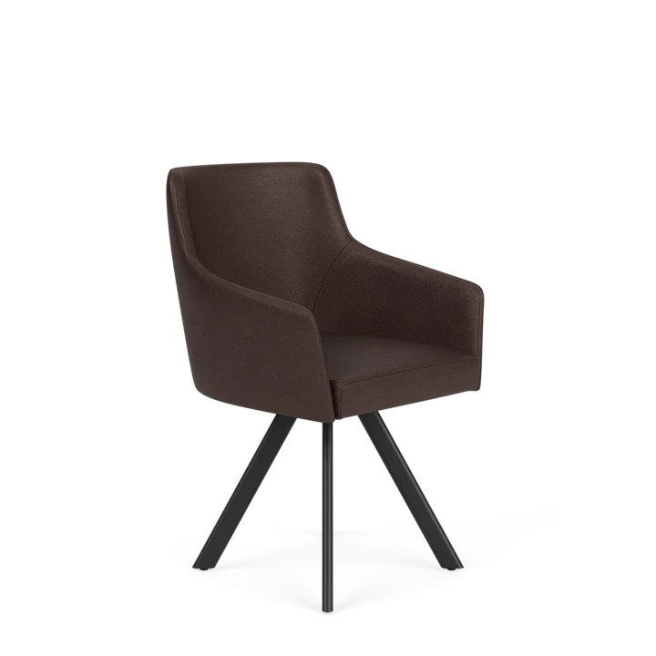 Product afbeelding voor Eetkamerstoel D-102