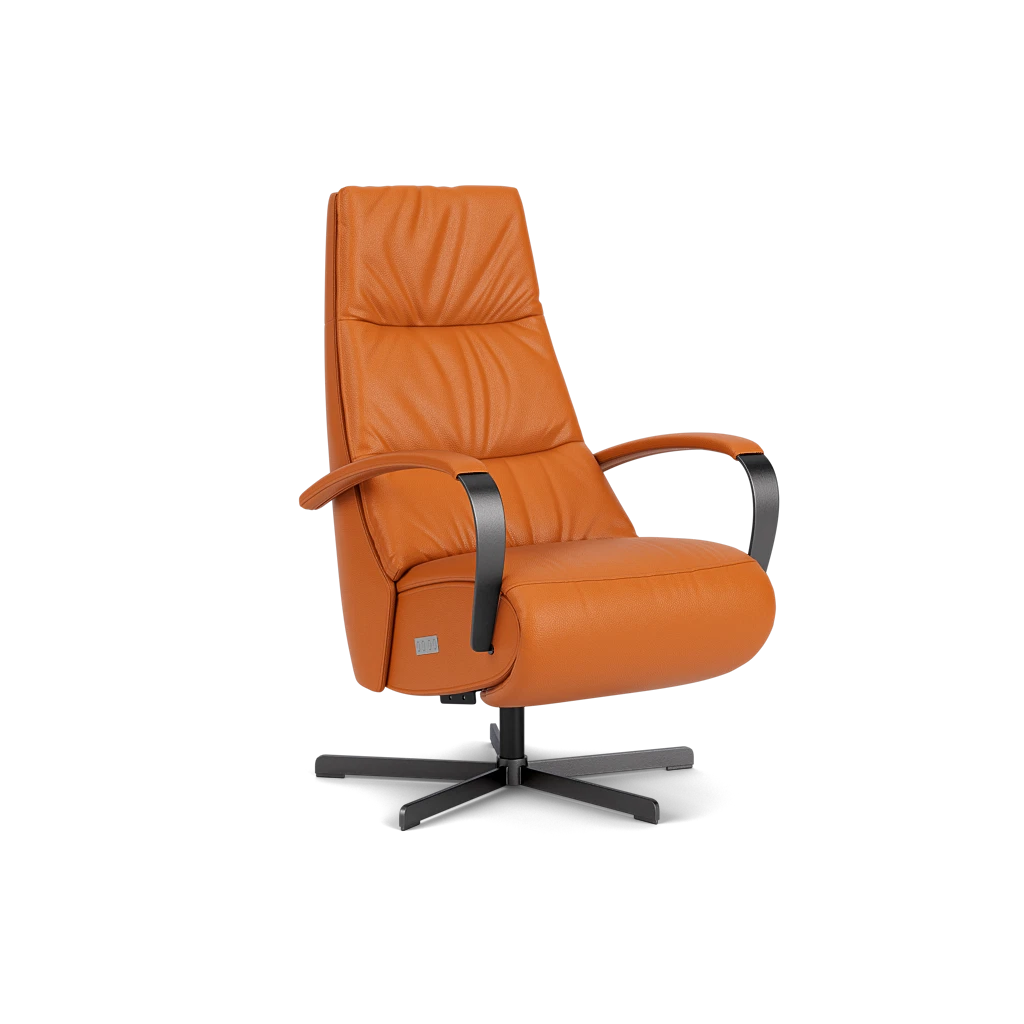 Relaxstoel E-100