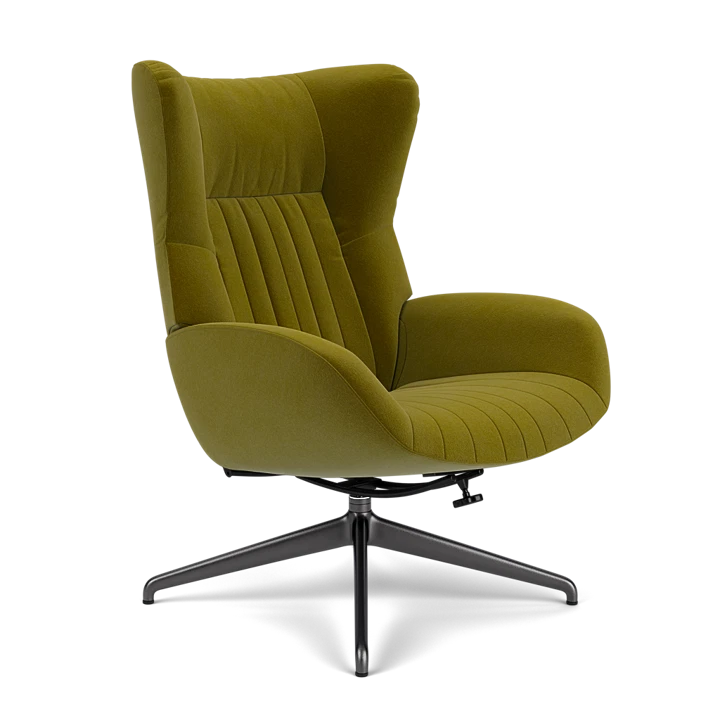Product afbeelding voor Loungestoel Nice