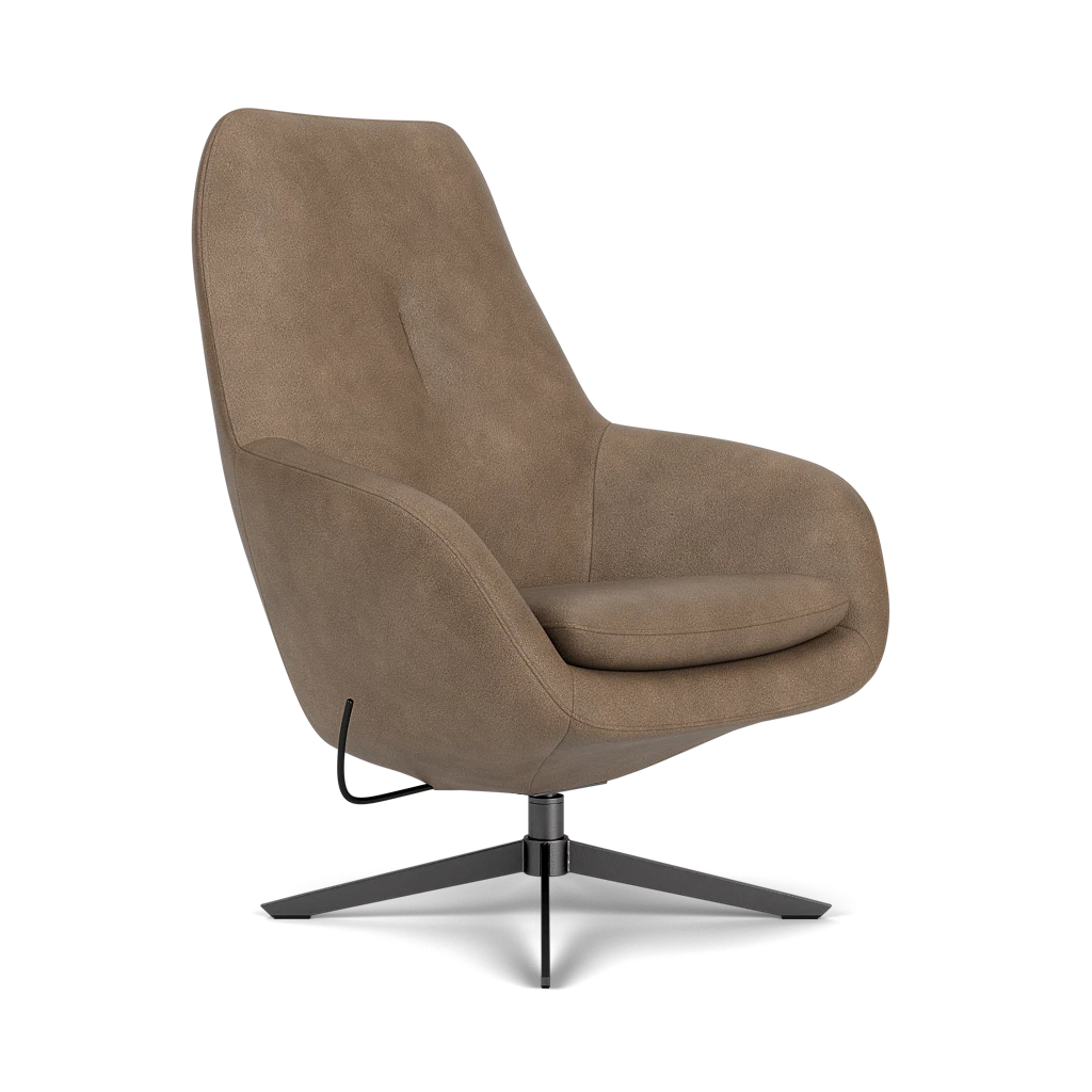Product afbeelding voor Loungestoel Costera