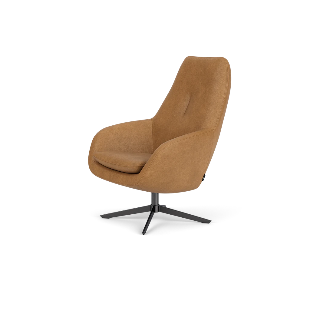 Fauteuil Costera