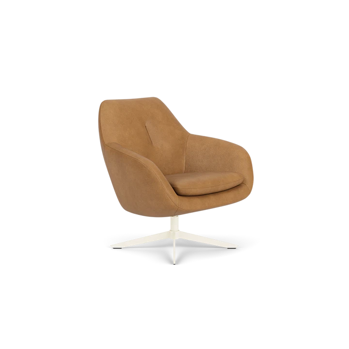 Product afbeelding voor Fauteuil Costera