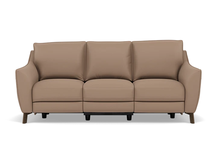 Palmetto Leather Power Reclining Sofa