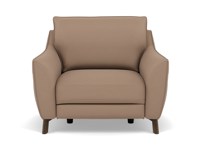 Palmetto Leather Power Recliner