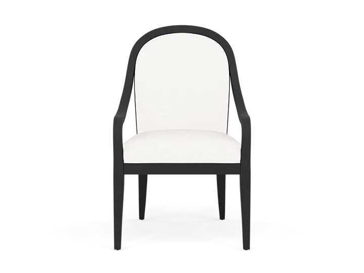 Annalise Upholstered Arm Chair With Performance Fabric